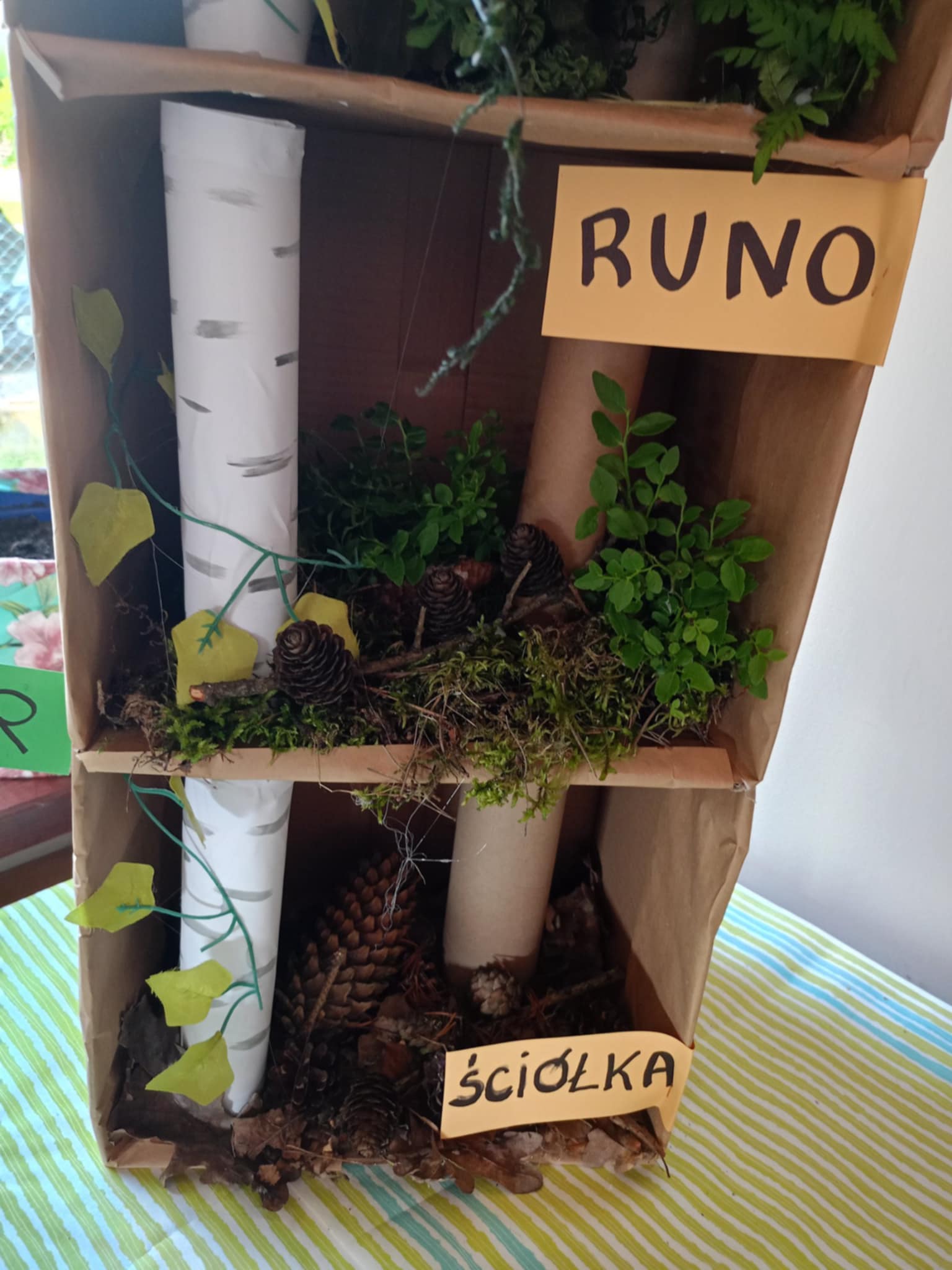 Las w świetlicy – nasz nowy kącik przyrodniczy