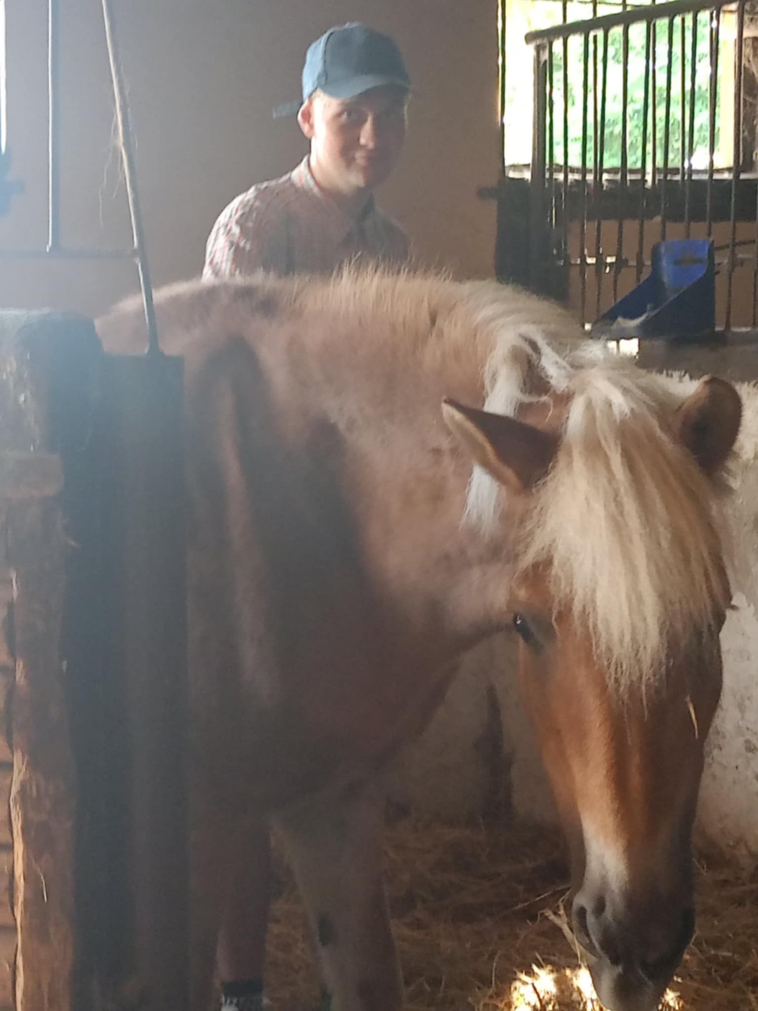 Nasze spotkania z końmi – lekcje bliskości i spokoju